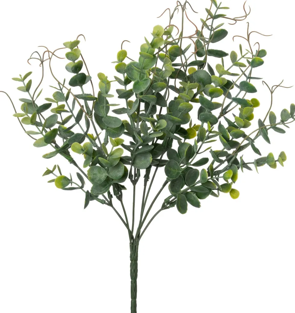 Intratuin kunstdecoratietak Eucalyptus H 33 cm