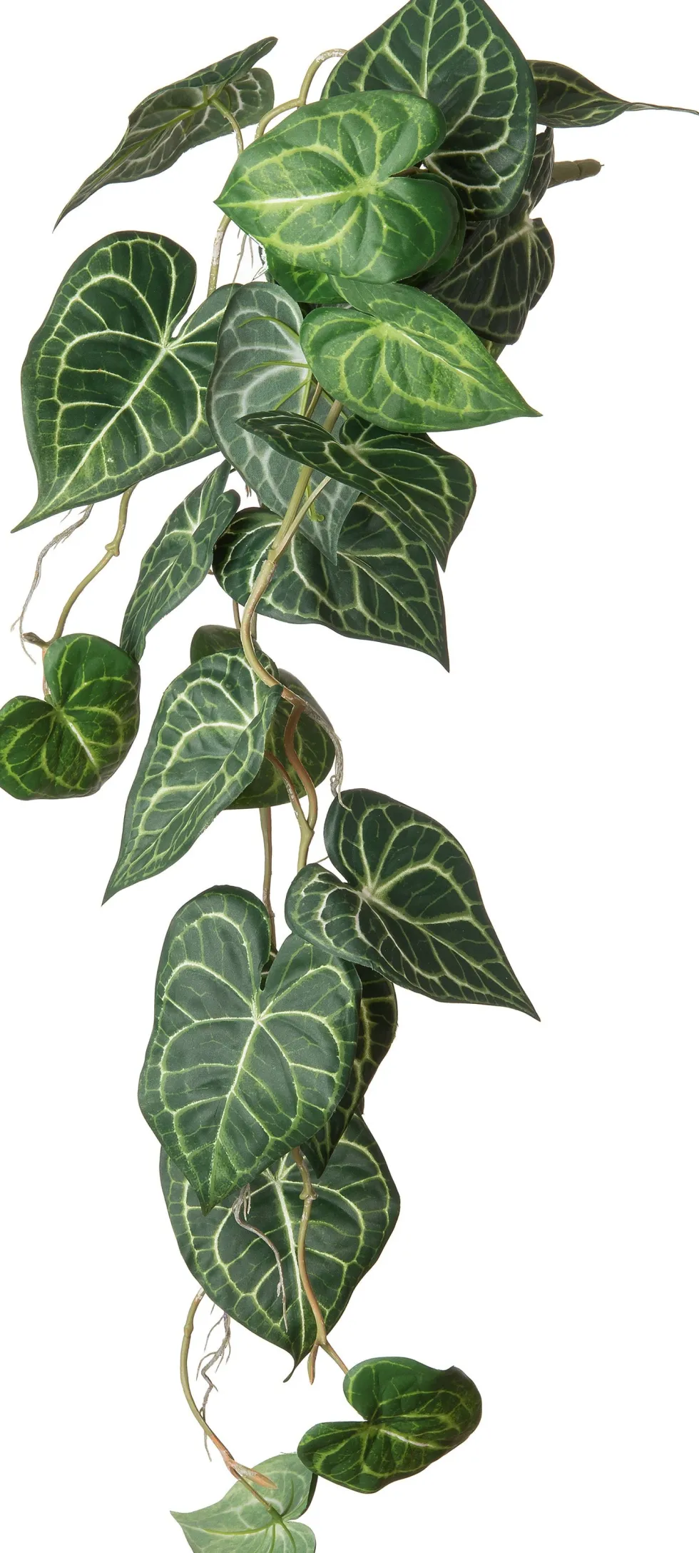 Intratuin kunsthangplant Anthurium H 85 cm