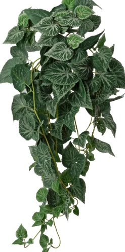Intratuin kunsthangplant Bladbegonia H 90 cm
