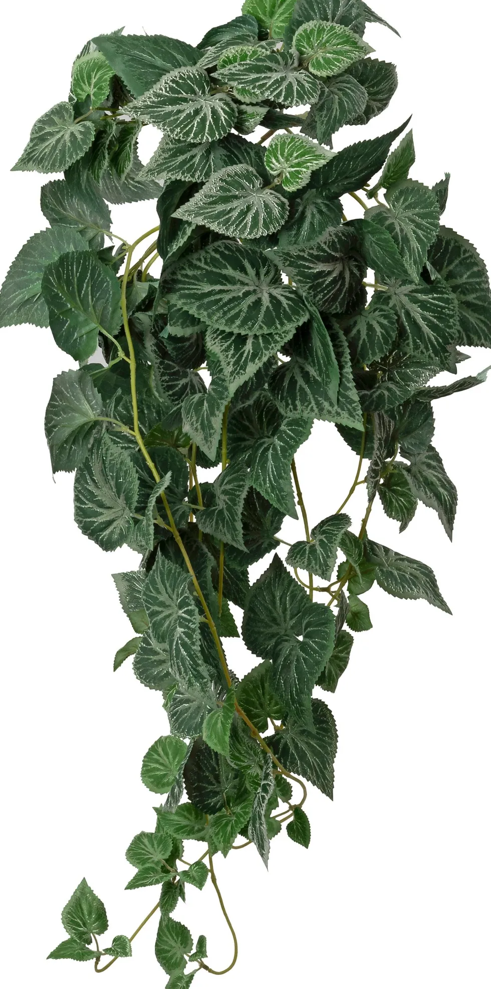Intratuin kunsthangplant Bladbegonia H 90 cm