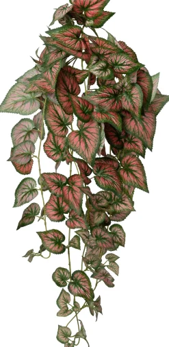 Intratuin kunsthangplant Bladbegonia rood / groen H 90 cm