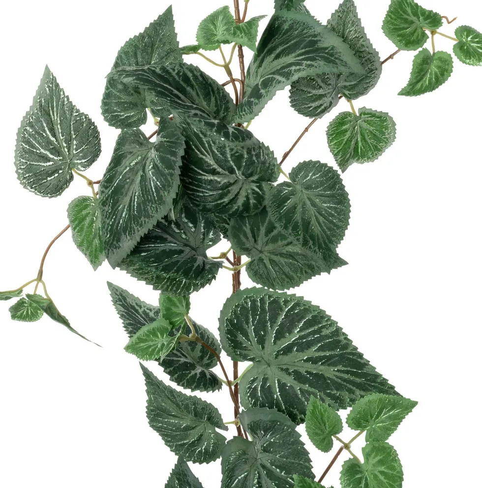 Intratuin kunsthangplant Bladbegonia H 170 cm