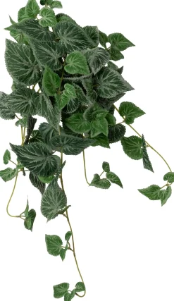 Intratuin kunsthangplant Bladbegonia H 60 cm