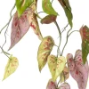 Intratuin kunsthangplant Caladium groen / paars / rood H 91 cm