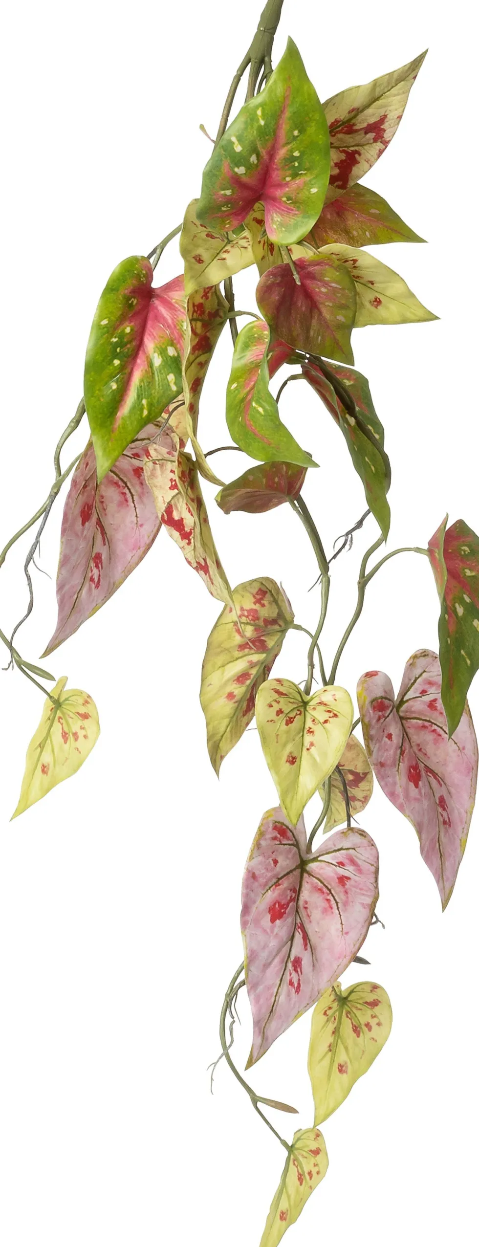 Intratuin kunsthangplant Caladium groen / paars / rood H 91 cm