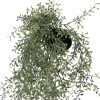 Intratuin kunsthangplant dischidia H 38 cm