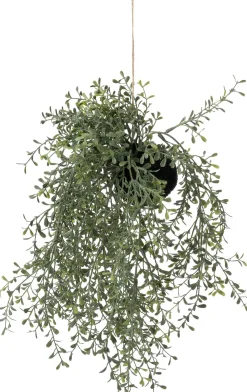 Intratuin kunsthangplant dischidia H 38 cm