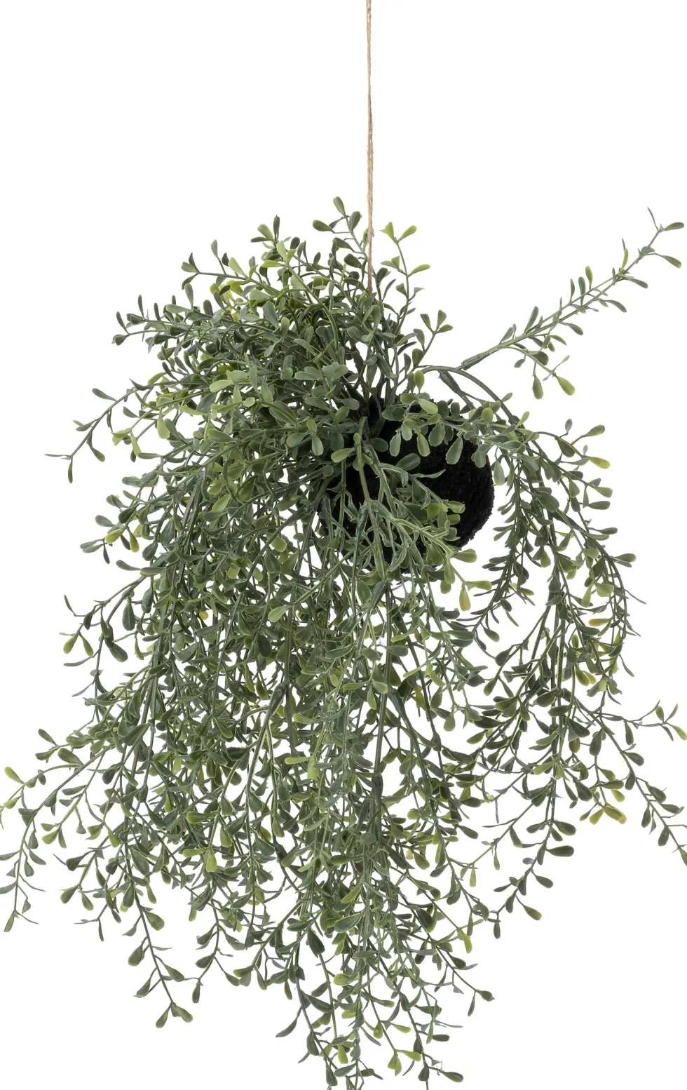 Intratuin kunsthangplant dischidia H 38 cm