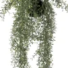 Intratuin kunsthangplant dischidia H 66 cm