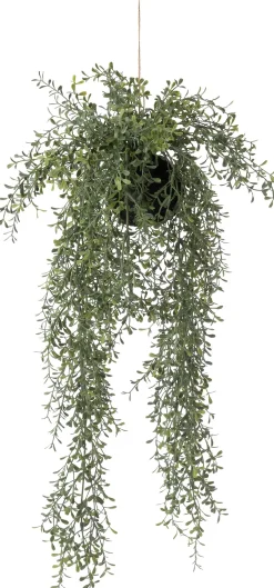 Intratuin kunsthangplant dischidia H 66 cm