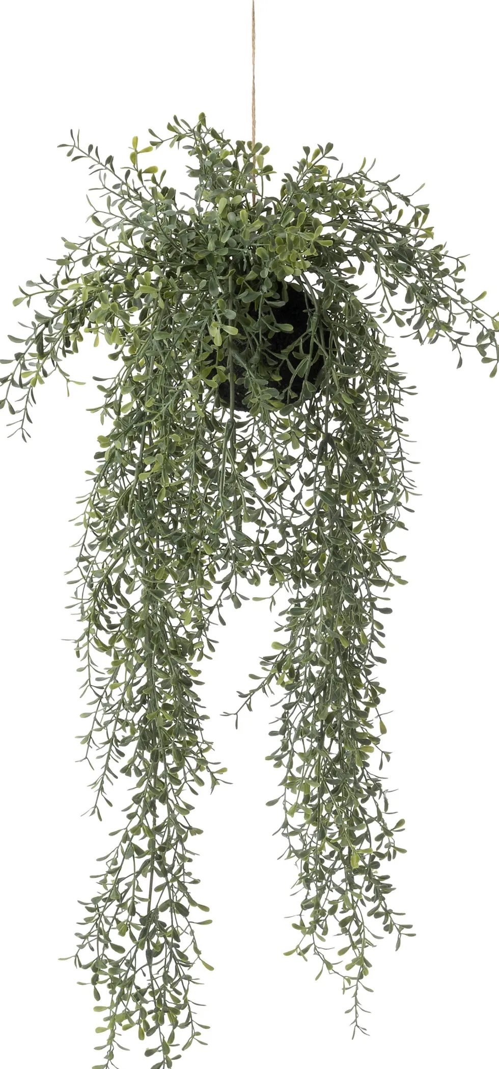 Intratuin kunsthangplant dischidia H 66 cm