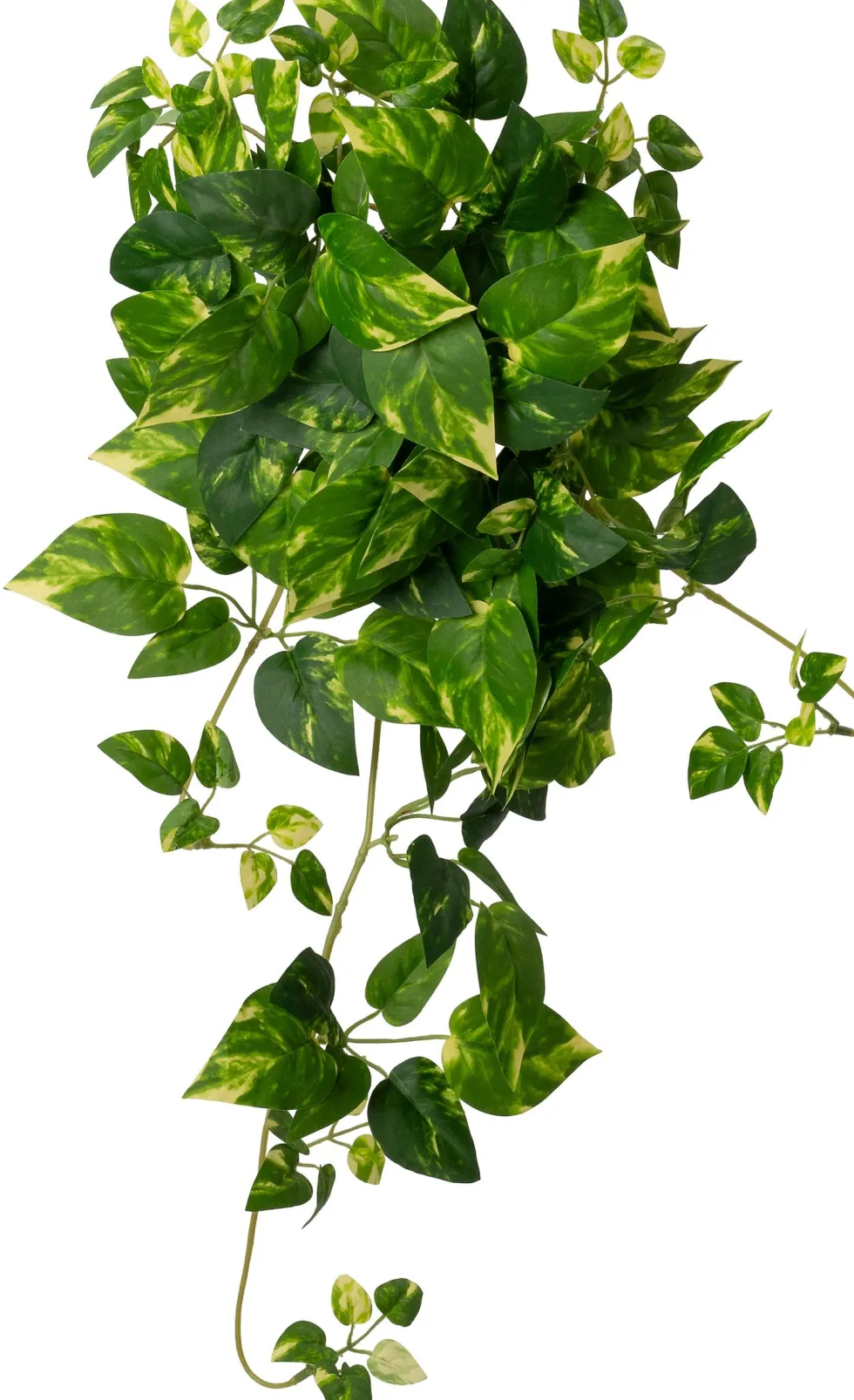 Intratuin kunsthangplant Drakenklimop geelbont H 60 cm
