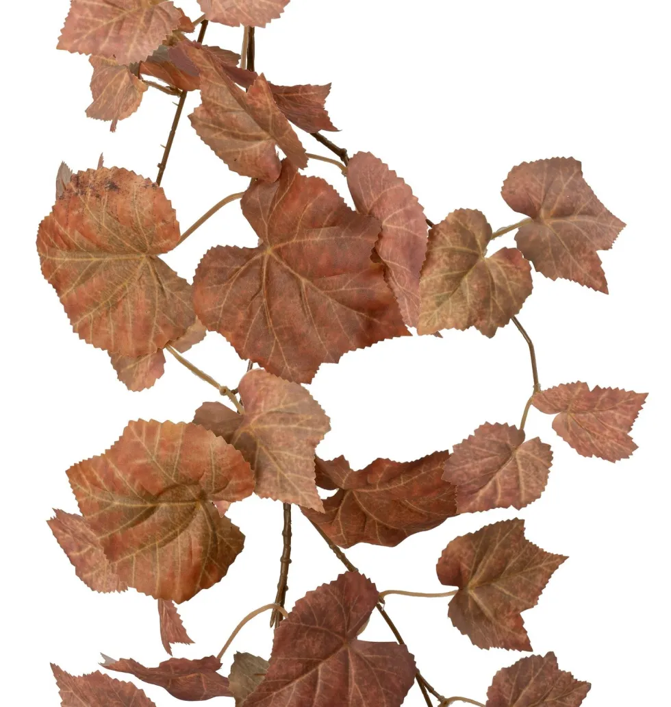 Intratuin kunsthangplant Druif bruin H 170 cm