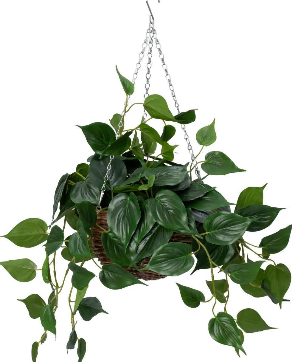 Intratuin kunsthangplant Drakenklimop H 50 cm