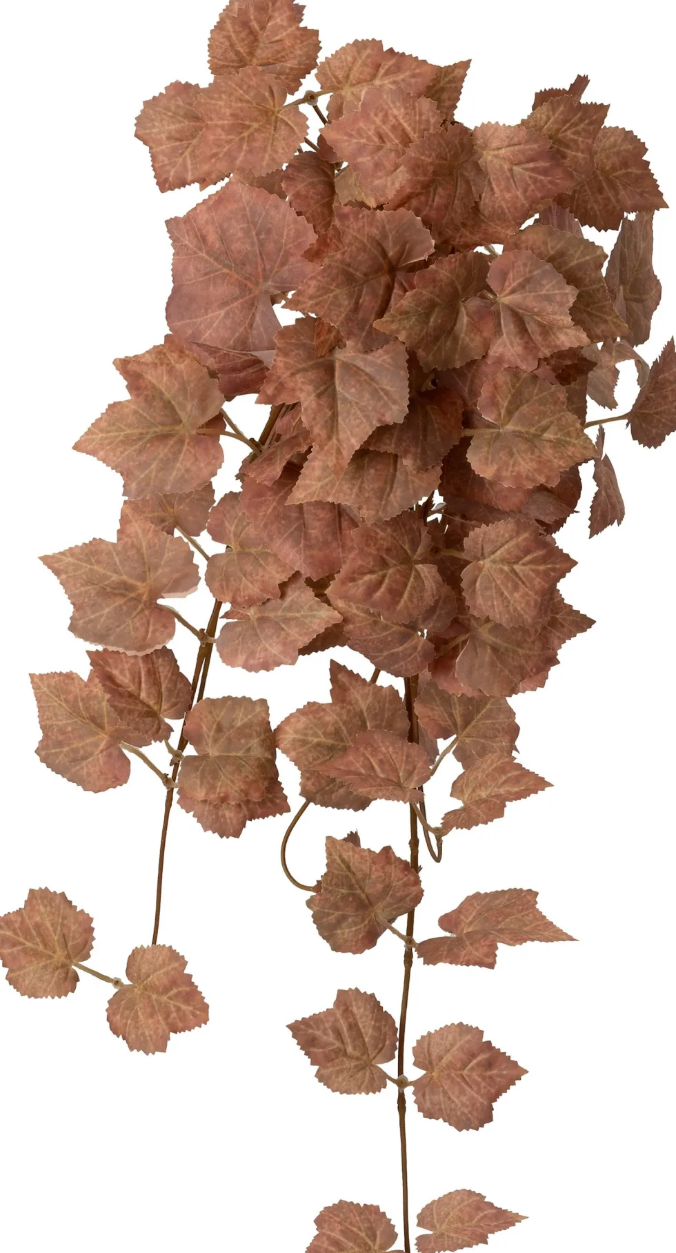 Intratuin kunsthangplant Druif bruin H 60 cm