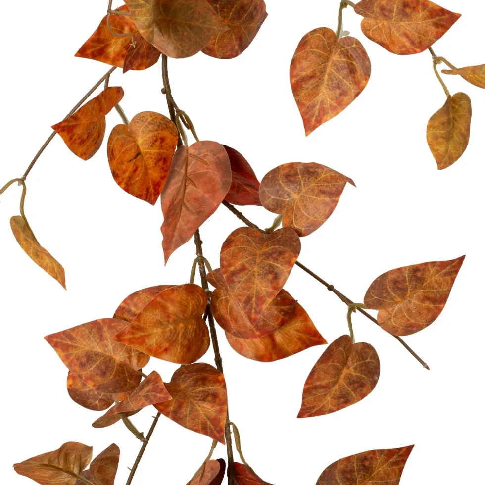 Intratuin kunsthangplant Elfenbloem oranje H 170 cm