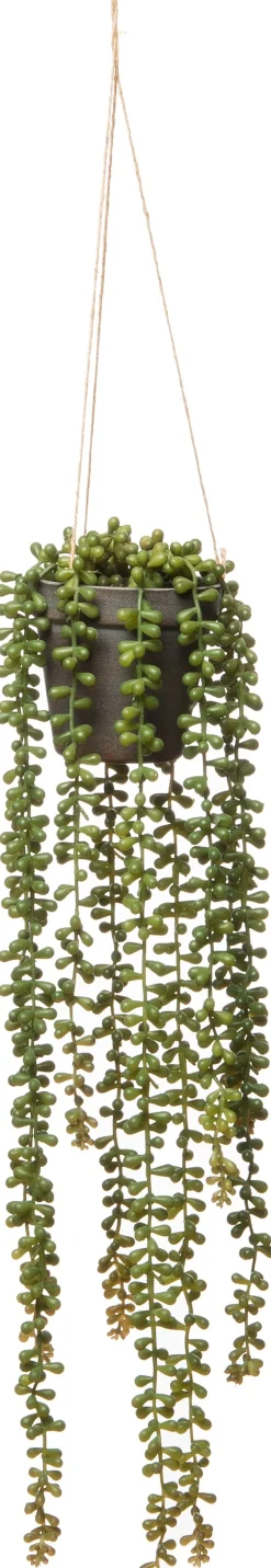 Intratuin kunsthangplant Erwtenplant H 56 cm