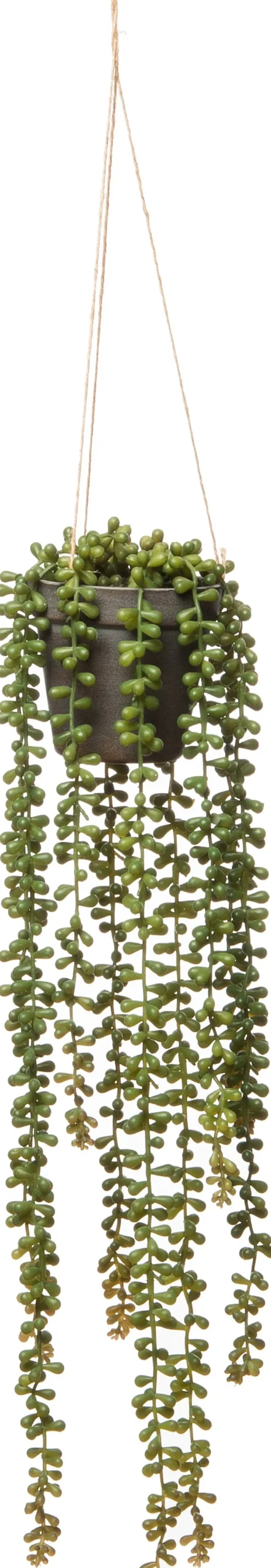 Intratuin kunsthangplant Erwtenplant H 56 cm