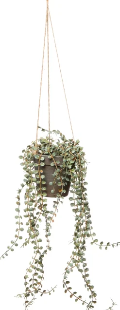 Intratuin kunsthangplant Erwtenplant grijsgroen H 45,5 cm