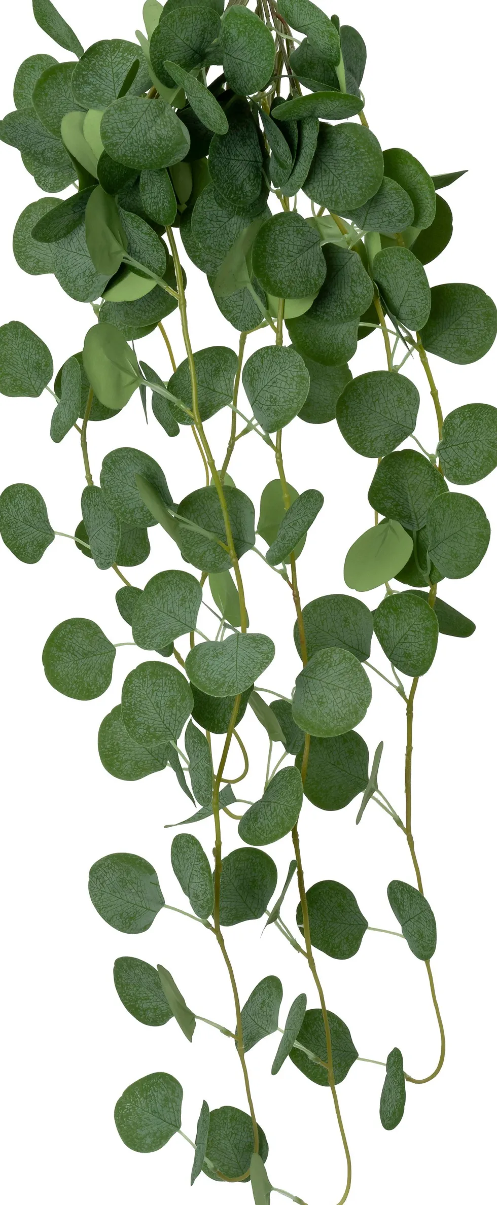 Intratuin kunsthangplant Eucalyptus grijsgroen H 92 cm