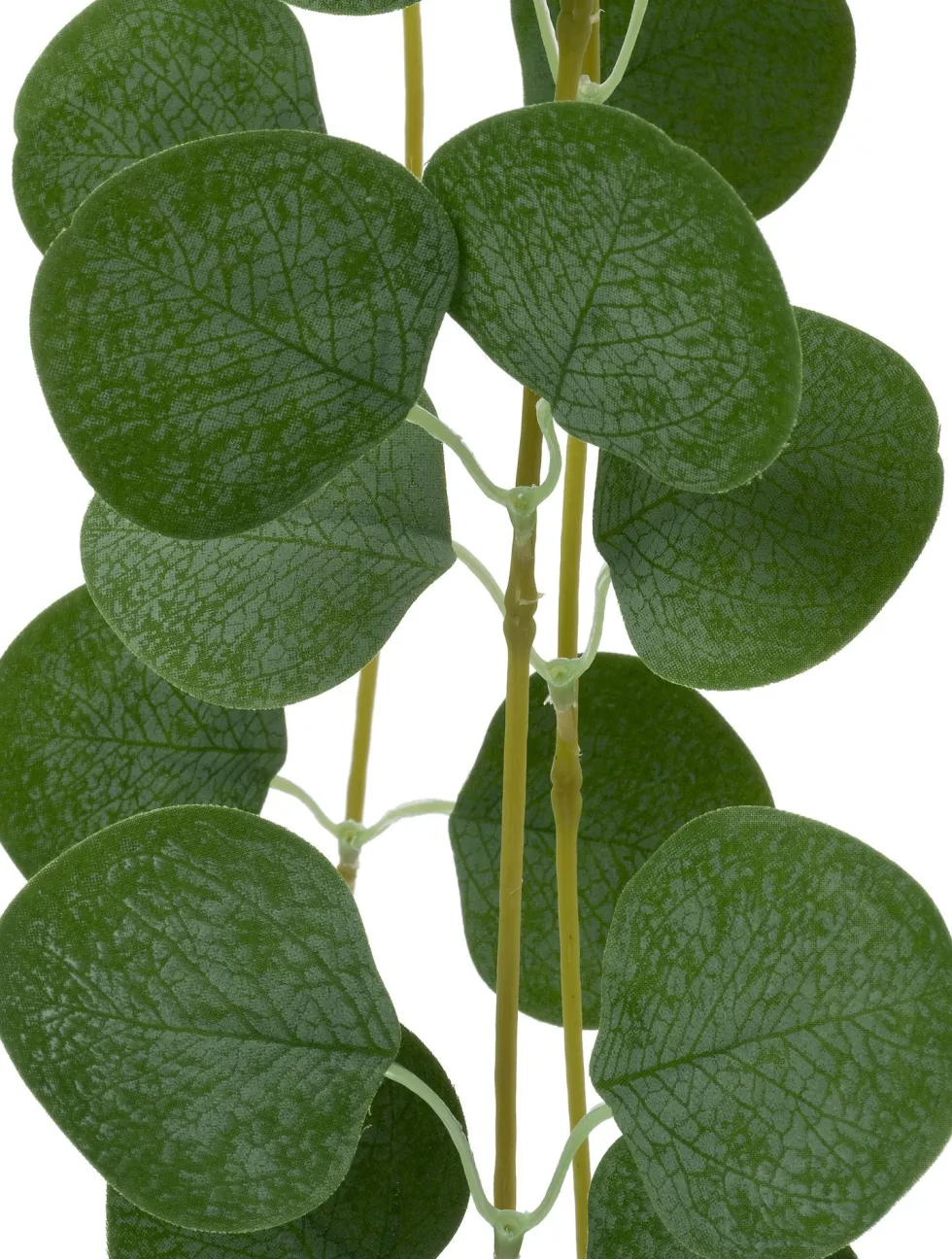 Intratuin kunsthangplant Eucalyptus grijsgroen H 92 cm