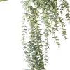 Intratuin kunsthangplant Eucalyptus H 78 cm