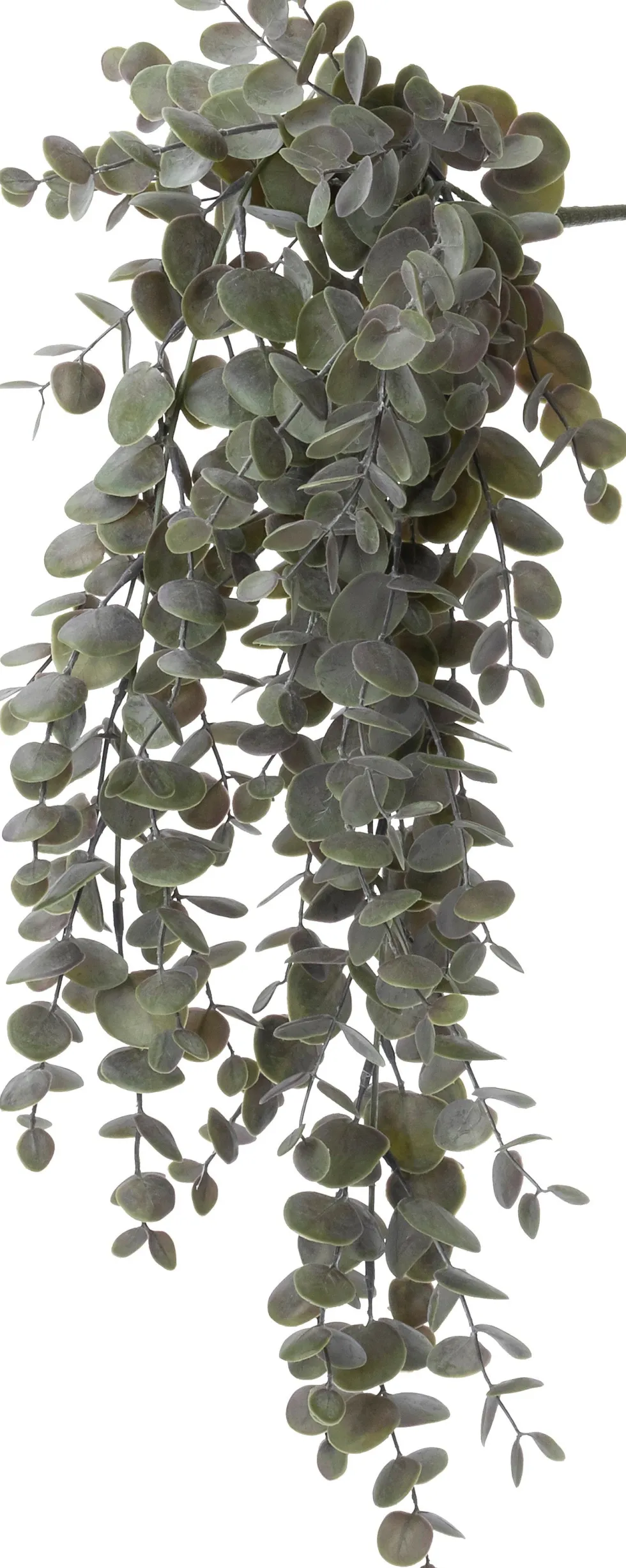 Intratuin kunsthangplant Eucalyptus paarsgroen H 60 cm