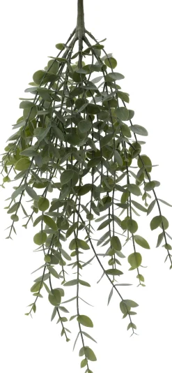 Intratuin kunsthangplant Eucalyptus witbont H 60 cm