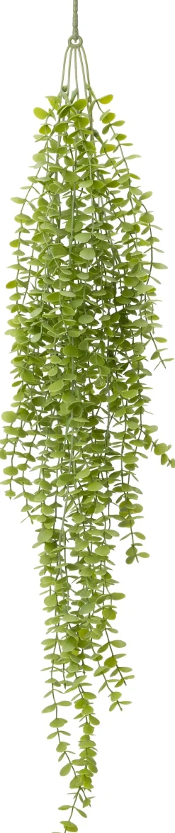 Intratuin kunsthangplant Eucalyptus H 90 cm