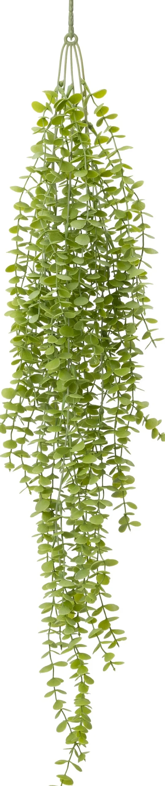 Intratuin kunsthangplant Eucalyptus H 90 cm