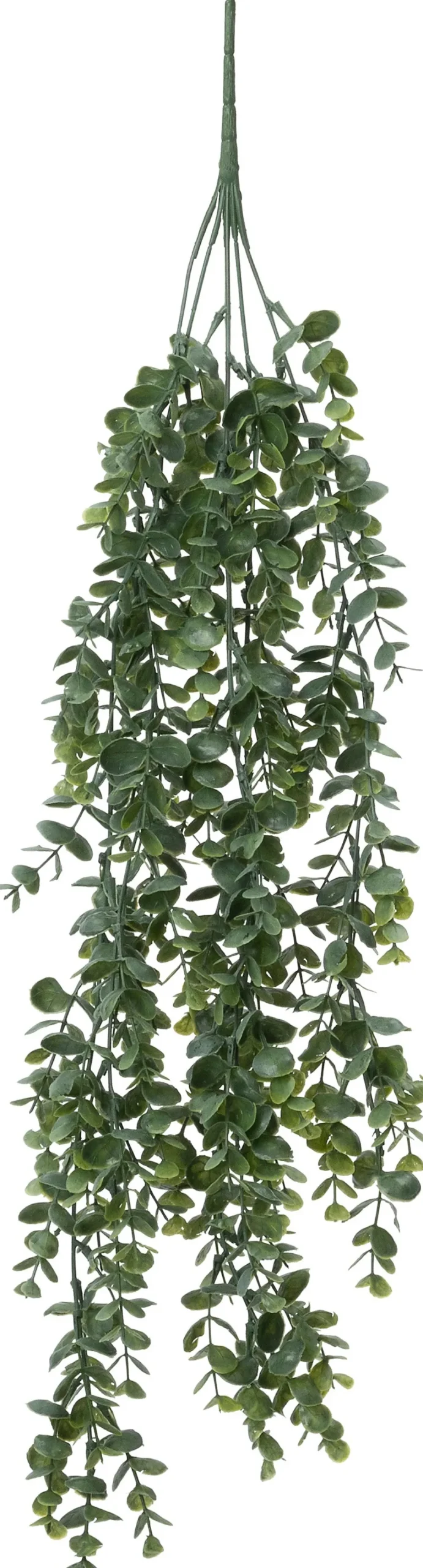 Intratuin kunsthangplant Eucalyptus grijsgroen H 75 cm