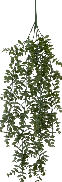 Intratuin kunsthangplant Eucalyptus witbont H 72 cm