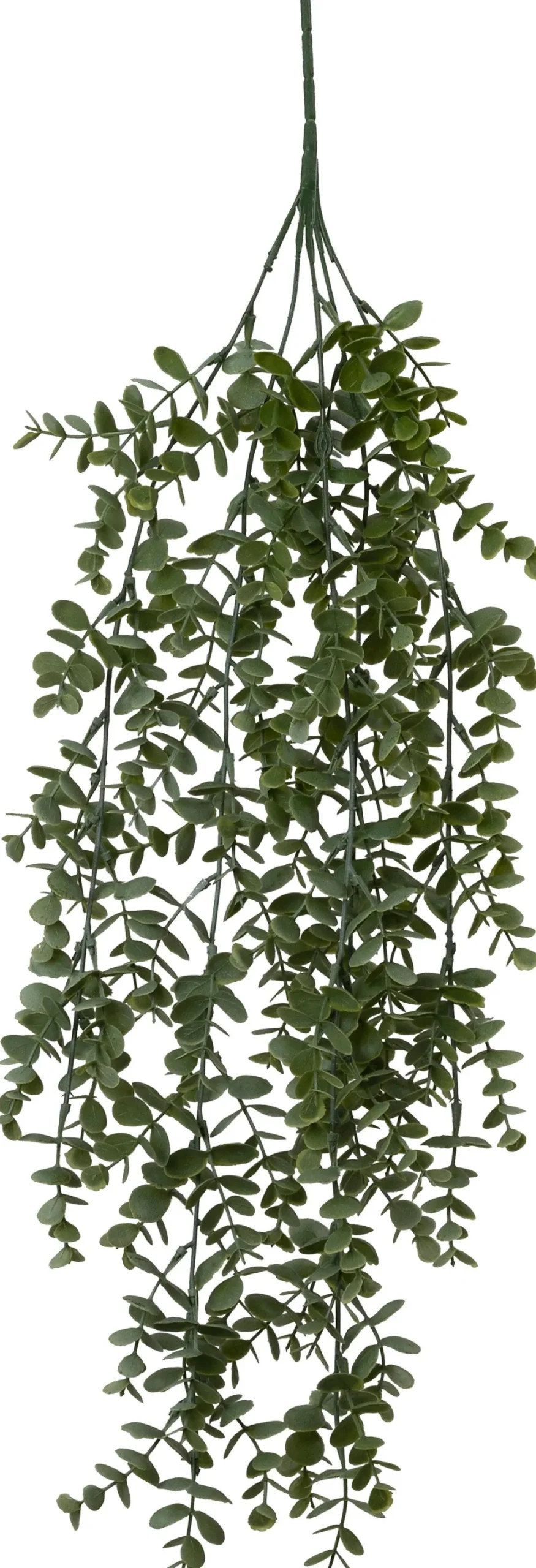 Intratuin kunsthangplant Eucalyptus witbont H 72 cm