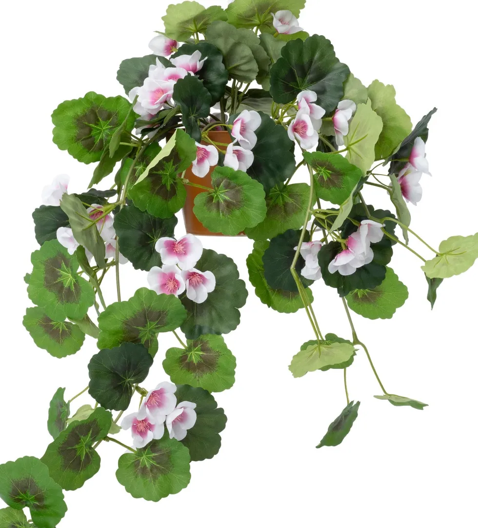 Intratuin kunsthangplant Hanggeranium wit / roze H 55 cm