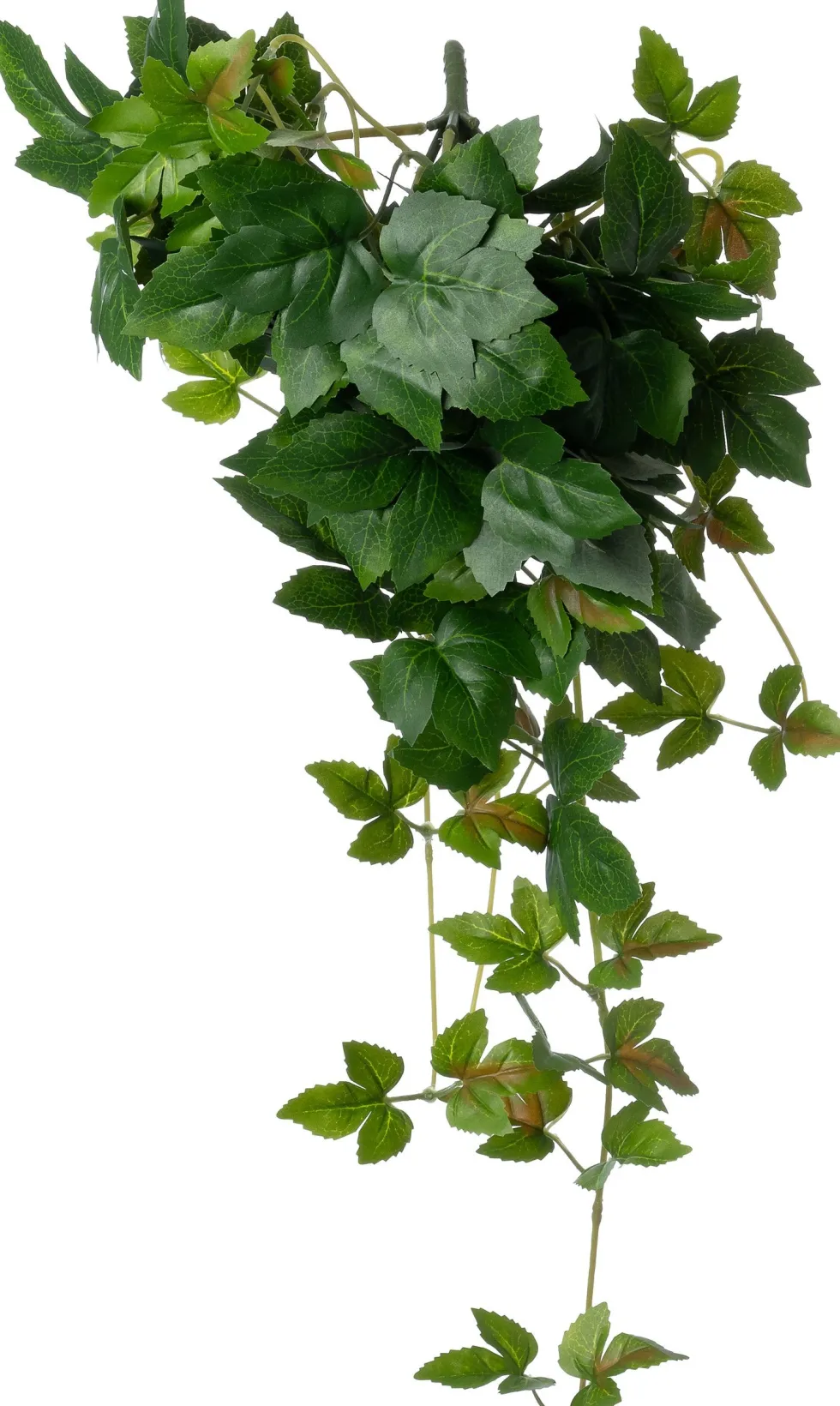 Intratuin kunsthangplant Klimop H 60 cm