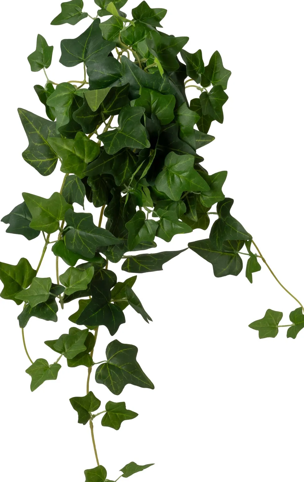 Intratuin kunsthangplant Klimop donkergroen H 60 cm