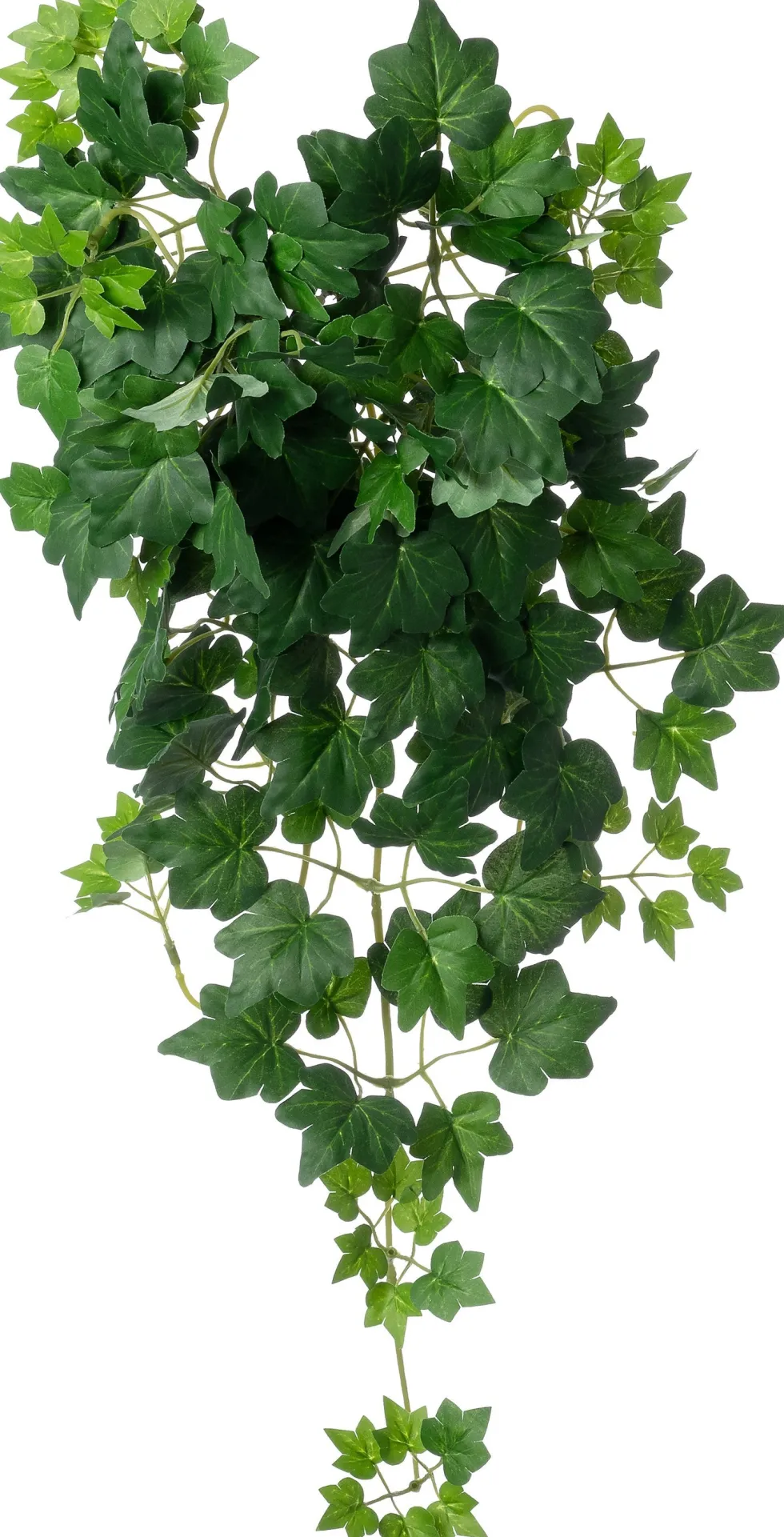 Intratuin kunsthangplant Klimop / wilde wingerd H 60 cm