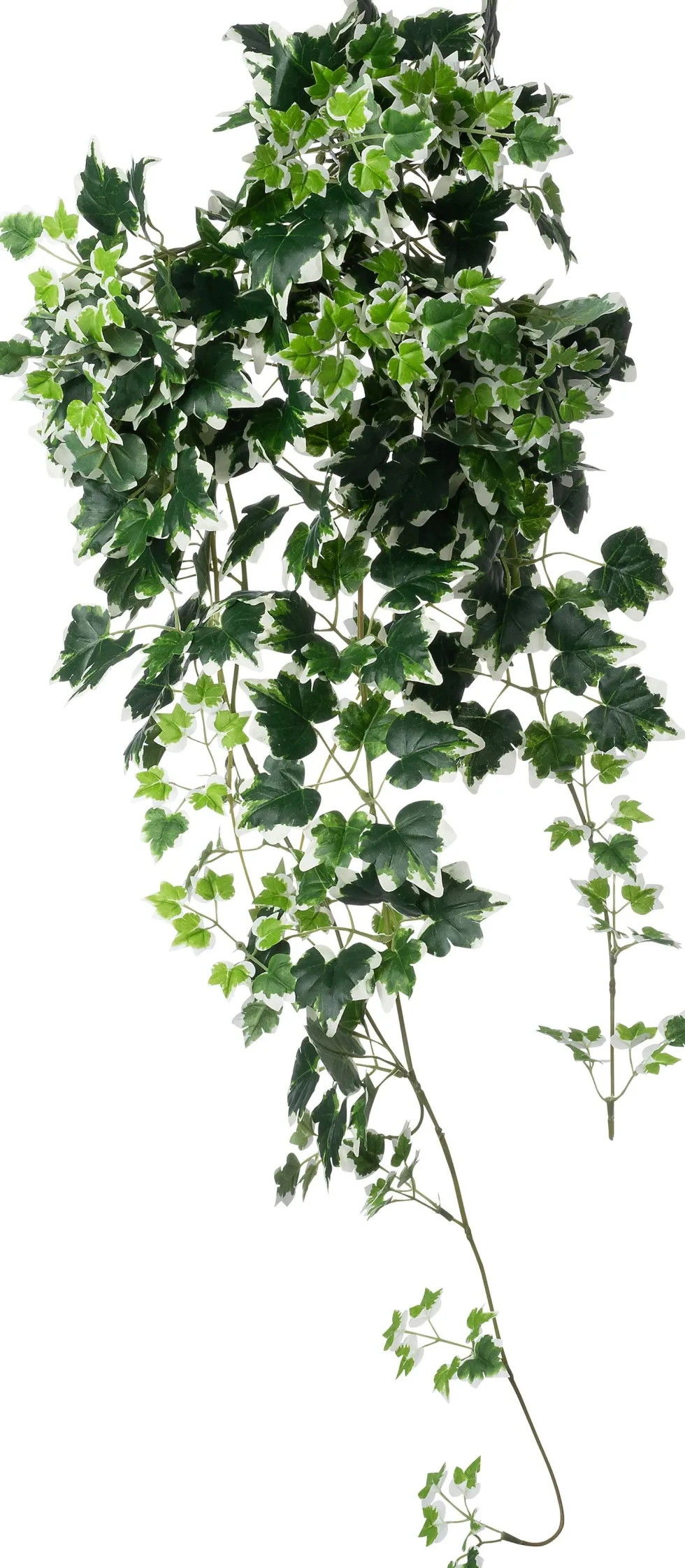 Intratuin kunsthangplant Klimop witbont H 100 cm