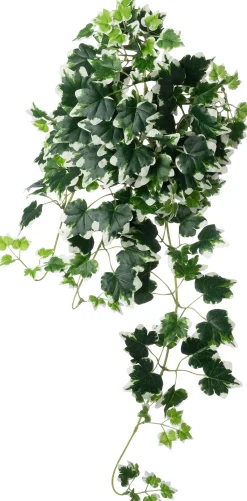 Intratuin kunsthangplant Klimop groen / wit H 60 cm