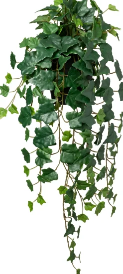 Intratuin kunsthangplant Klimop donkergroen D 15 H 75 cm
