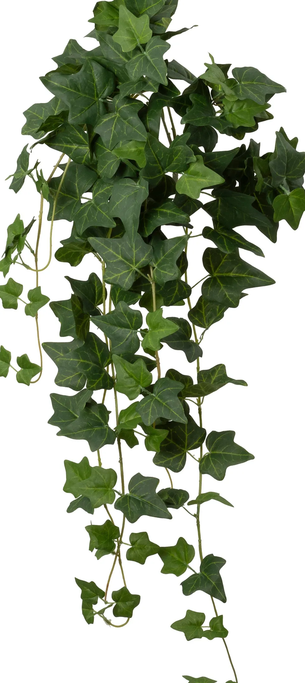 Intratuin kunsthangplant Klimop H 90 cm