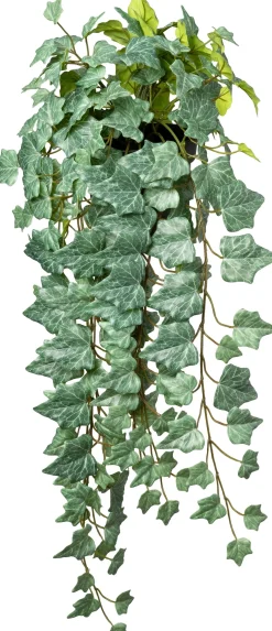 Intratuin kunsthangplant Klimop groen / wit D 15 H 75 cm