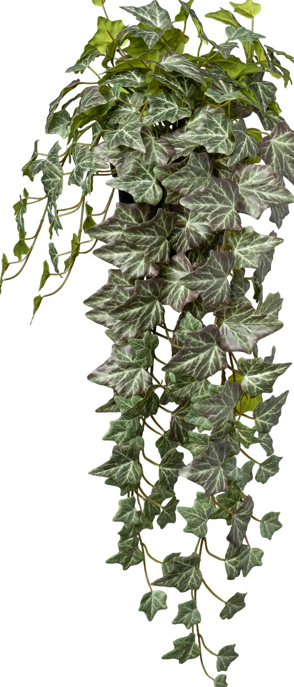 Intratuin kunsthangplant Klimop lichtgroen D 15 H 75 cm