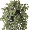 Intratuin kunsthangplant Kruiskruid H 71 cm