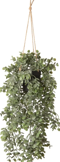 Intratuin kunsthangplant Kruiskruid H 71 cm
