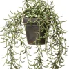 Intratuin kunsthangplant Kruiskruid H 55 cm