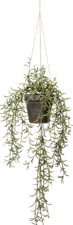 Intratuin kunsthangplant Kruiskruid H 55 cm