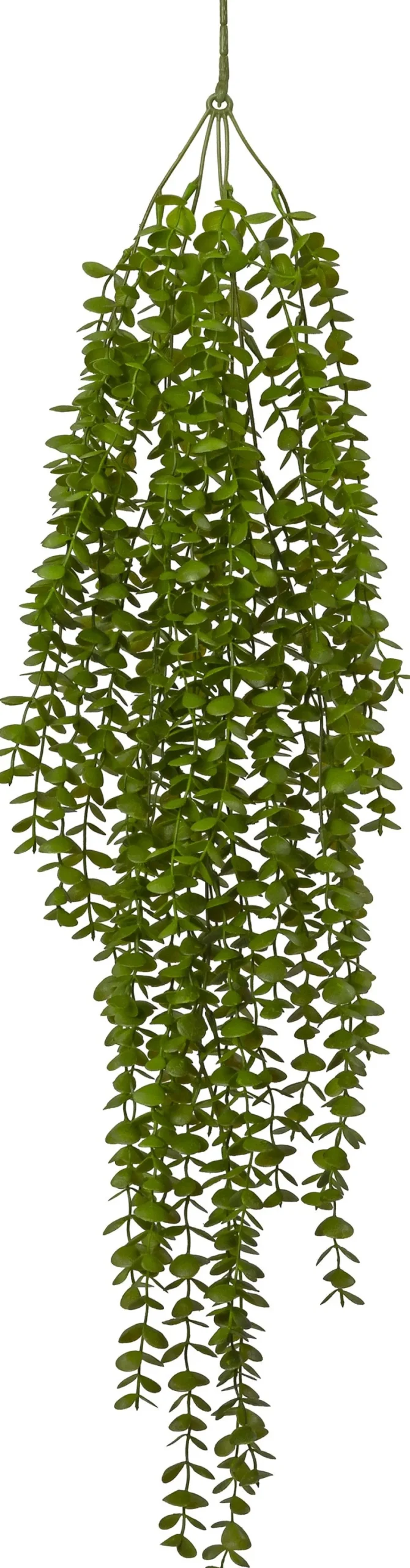 Intratuin kunsthangplant Kruiskruid H 90 cm
