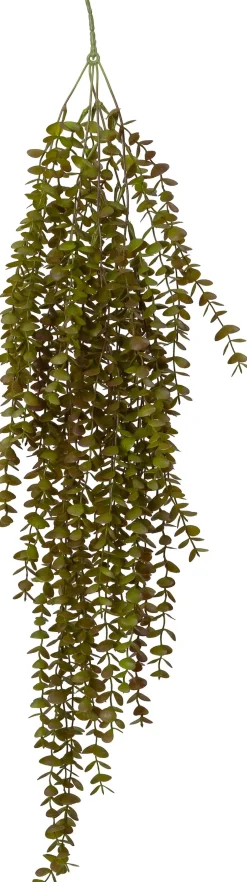 Intratuin kunsthangplant Kruiskruid rood / groen H 90 cm