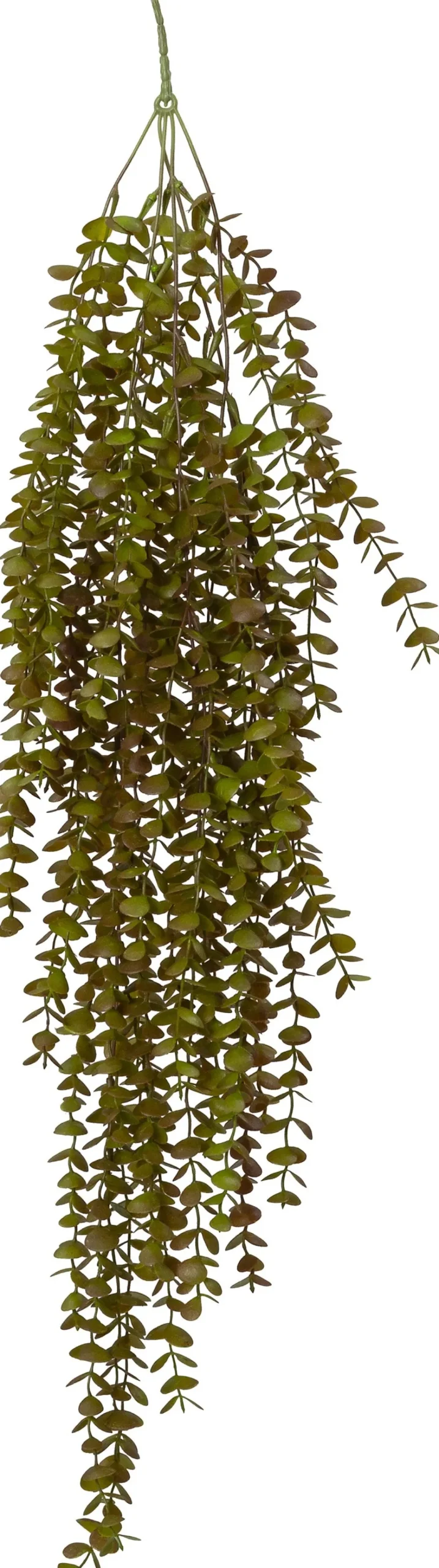 Intratuin kunsthangplant Kruiskruid rood / groen H 90 cm
